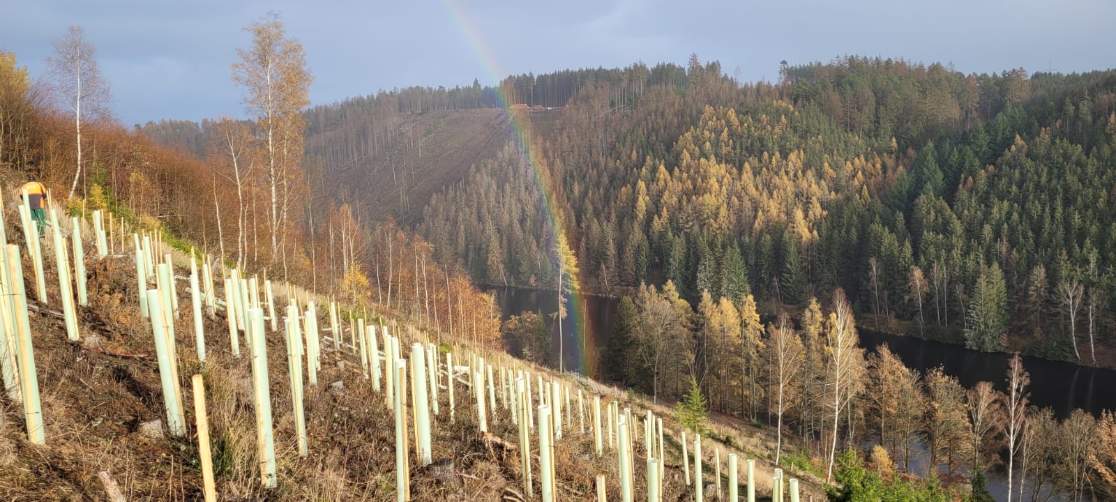 Recycling für das grüne Herz Deutschlands